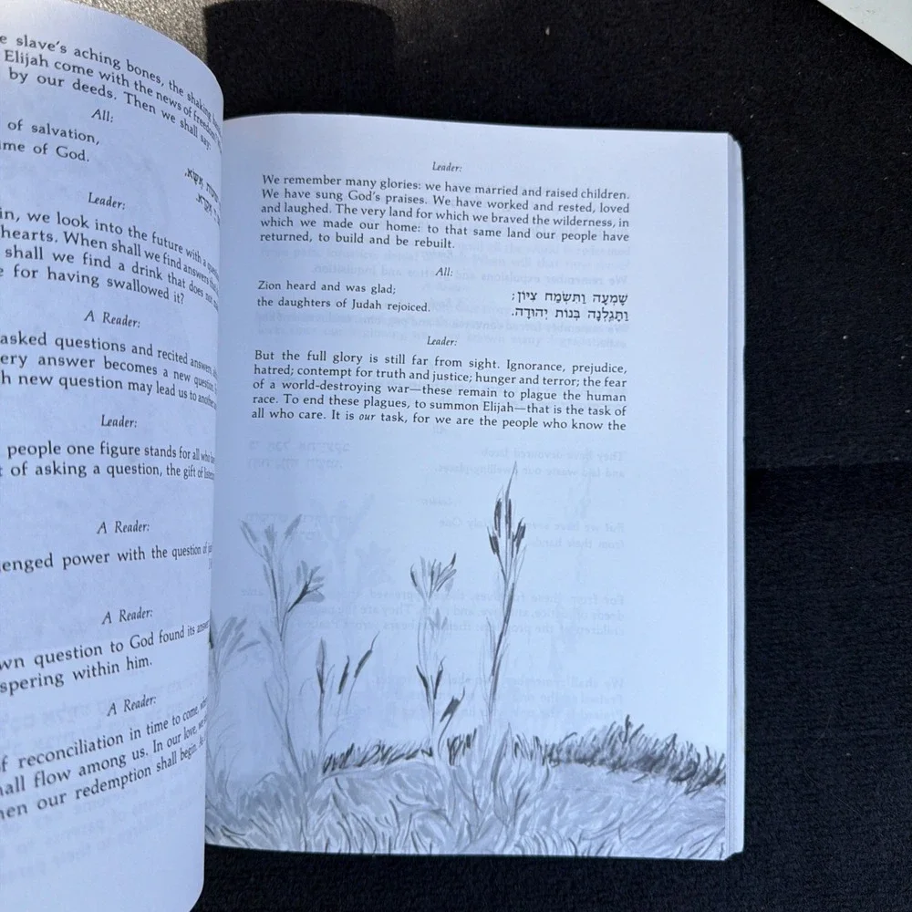 Gates‎ of Freedom: A Passover Haggadah by Chaim Stern
